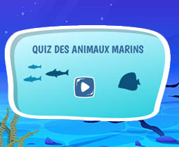 Quiz des animaux marins